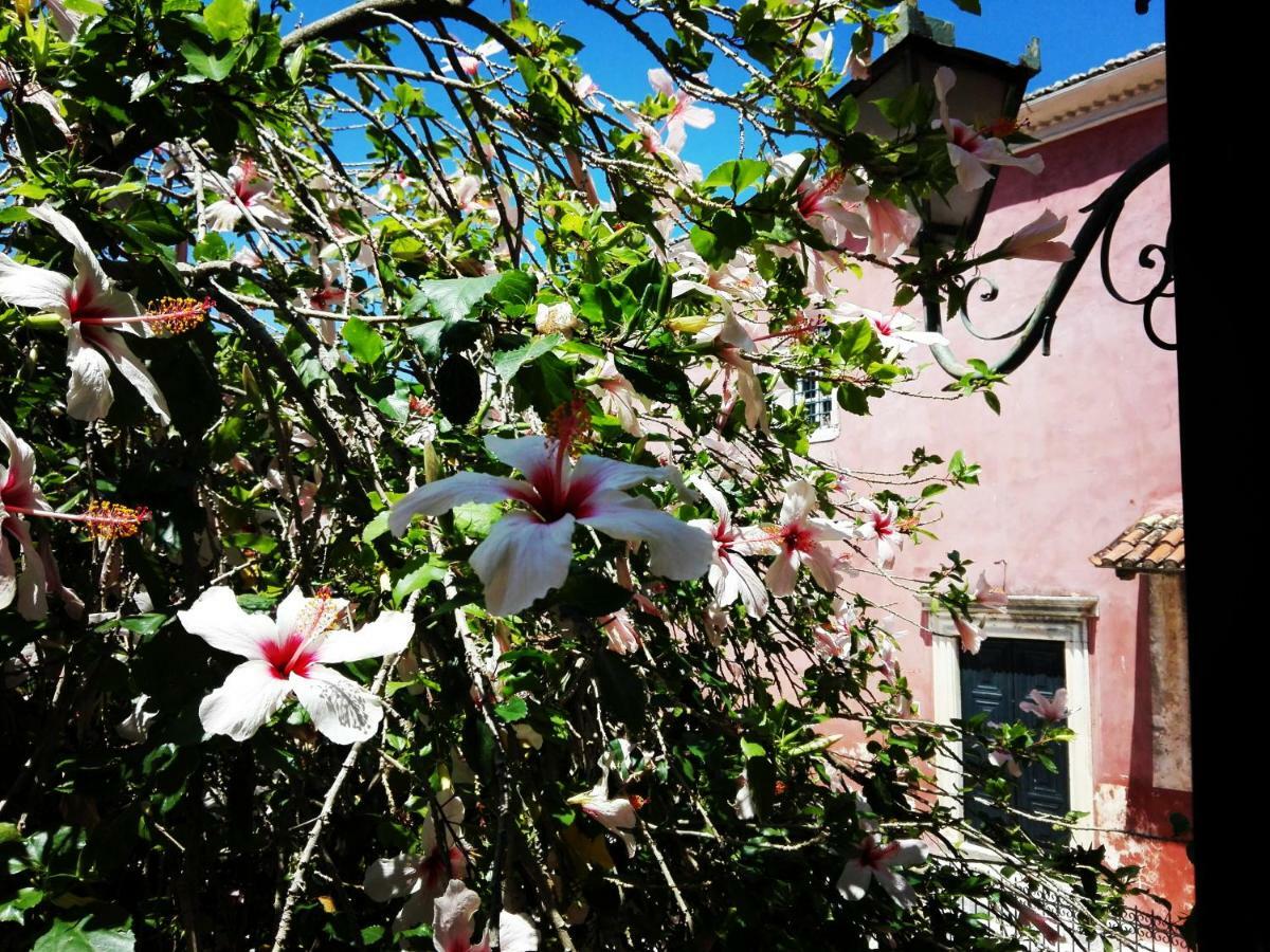 Venetian Well Cozy Apartment Corfu Old Town Luaran gambar